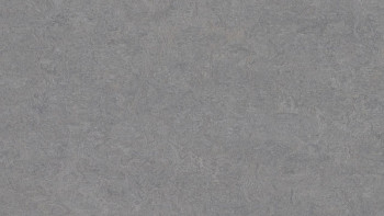Forbo Linoleum Marmoleum - Fresco eternità 3866 2,5