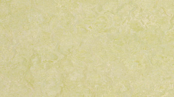 Forbo Linoleum Marmoleum - Verde reale benessere 3881 2.0