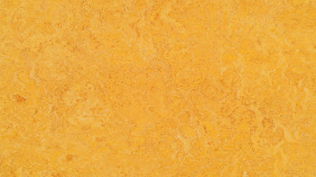 Forbo Linoleum Marmoleum - Vero dente di leone 3225