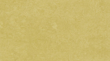 Forbo Linoleum Marmoleum - Fresco senape 3259