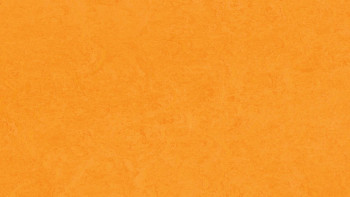 Forbo Linoleum Marmoleum Fresco - marigold 3262-2.5