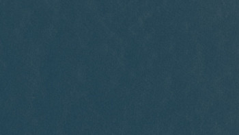 Forbo Linoleum Marmoleum Walton - benzina 3358