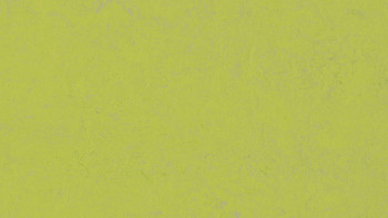 Forbo Linoleum Marmoleum Calcestruzzo - bagliore verde 3742