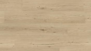 planeo Vinile rigido ad incastro - FlexCore 55 Misty Oak | Isolamento acustico integrato (plfc-5023FS55)
