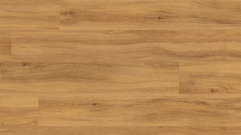 planeo Vinile rigido a incastro - FlexCore 55 Pure Oak | Isolamento acustico integrato (plfc-5122FS55)