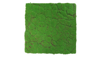 pannello acustico planeo - MixWall Moss Mood Forest Green 52 x 52 cm | muschio artificiale (PLMW-30121A)