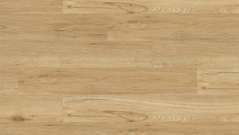 planeo Vinile adesivo - Wood&Rock Floresta | Aspetto autentico (DGWR-8100)