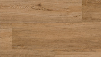 Skaben Vinile adesivo - Object quercia classica (SO-6208307)