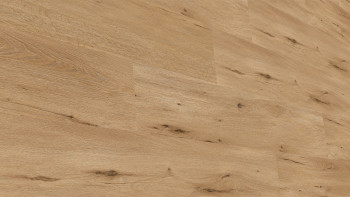 planeo DekoWall - Vinile da parete X-Wide Country Oak Nature | Goffratura sincronizzata (DB294WXL-WV)