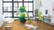 Pavimentazione in legno Parador Engineered Wood Flooring - 3060 Rovere vivo olio naturale più 3-plank