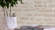 Carta da parati in vinile Best of Wood'n Stone 2a edizione A.S. Création muro in pietra beige crema 803