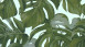 Carta da parati Dream Again Michalsky Living Palm Leaves Blue Green 193
