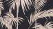 Carta da parati in vinile Metropolitan Stories Lola - Paris Livingwalls Foglie di palma moderna Foglie di palma rosa metallizzato nero 191