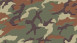 Carta da parati in vinile Boys & Girls 6 A.S. Création carta da parati per bambini moderna marrone verde 406