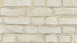 Carta da parati in vinile nuovo pad 2.0 Edizione 2 Pietre & Struttura A.S. Création pietra muro bianco grigio rosso 141