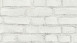 Carta da parati in vinile nuovo pad 2.0 Edizione 2 Pietre & Struttura A.S. Création pietra muro bianco grigio 142