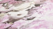 Carta da parati in vinile trendwall 2 flowers & nature modern pink 81