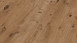 planeo Parquet - PAESE europ. quercia 204 colpisce