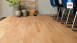 Haro Parquet - Series 4000 permaDur Faggio al vapore Trend (523789)