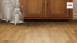 Haro Parquet - Series 4000 naturaLin plus Quercia Trend oliata naturale (530135)