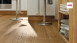 Haro Parquet - Series 4000 naturaLin plus Quercia Esclusiva (531677)