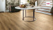 Haro laminato Tritty 100 Campus Campus 4V quercia 4V rovere italica panna autentica plancia