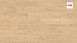 Laminato Haro Tritty 100 rovere Portland puro puro autentico V4 wideplank