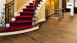 Haro Parquet - Series 4000 Plaza naturaLin plus Quercia Ambra Universale (533499)