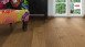 Haro Parquet - Series 4000 Plaza naturaLin plus Quercia Ambra Universale (533499)