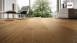 Haro Parquet - Series 4000 Plaza naturaLin plus Quercia Ambra Universale (533499)