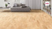 Haro Parquet 3500 Sycamore Maple Favourite
