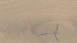 Haro Parquet 4000 2V rovere 2V grigio sabbia sauvage