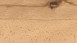 Haro Parquet 4000 2V Faggio 2V cotto a vapore Universal