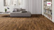 Haro Parquet 4000 Amber Robin Favourite