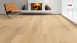 Haro Parquet 4000 4V Rovere Puro invisibile Markant