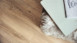 Pavimento di design MEISTER - MeisterDesign comfort DD600S Desert Oak 6998 Desert Oak
