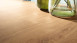MEISTER pavimento organico - MeisterDesign flex DD 400 / DB 400 Golden Oak (400007-1290216-06999)