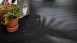 Pavimento di design MEISTER - MeisterDesign flex DB400 Black Lava 7323