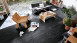 Pavimento di design MEISTER - MeisterDesign comfort DB600S Black Lava 7323