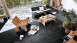 Pavimento di design MEISTER - MeisterDesign flex DB400 Black Lava 7323