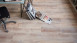 planeo Object Plus - Quercia dorata Rovere Bianco pavimento pvc flottante click bianco