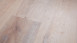 planeo Object Plus - Quercia dorata Rovere Bianco pavimento pvc flottante click bianco