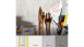 Carta da parati in vinile Best of Wood'n Stone 2a edizione A.S. Création aspetto grigio 263