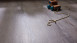 planeo Vinile adesivo - Object Pino grigio (DB10014)