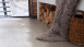 planeo Vinile adesivo - Object Quercia grigio (DB10013)