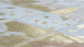 tappeto planeo - Lavish 210 avorio / oro