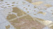 tappeto planeo - Lavish 210 avorio / oro