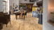 Kährs Parquet - American Naturals Acero canadese Toronto (153N15AP50KW0)