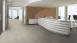 planeo WoodWall - Legno costiero Noce della Tasmania Naturale