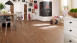 KWG Vinile adesivo - Antigua Novel Larch old style (930029)